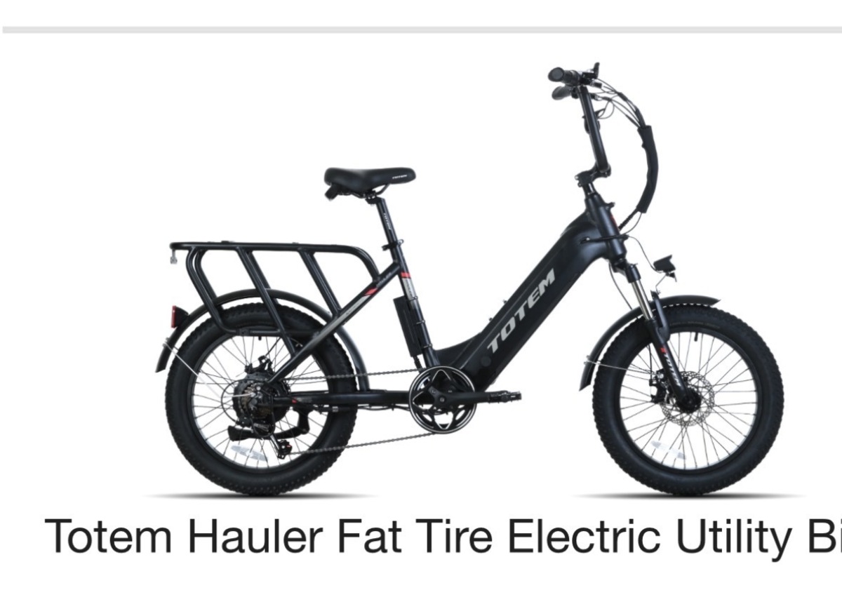Cargo Bike Rear photo