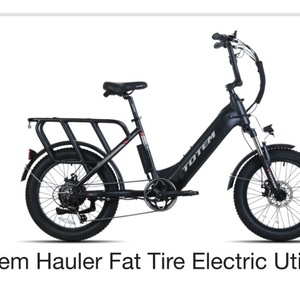2025 Totem Hauler cargo bike rear Black