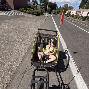 2025 Totem Hauler cargo bike rear Black
