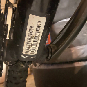 2020 Specialized Black and Yellow or Gold