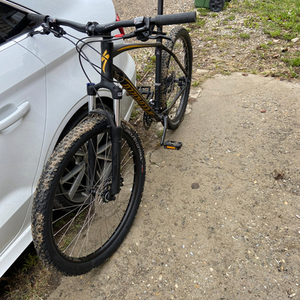 2020 Specialized Black and Yellow or Gold