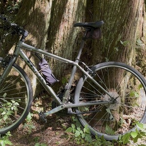 2016 Trek FX 7.1 Silver, gray or bare metal