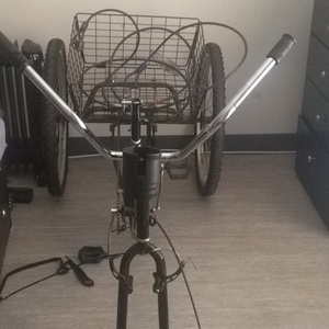 Viribus tricycle Black and White