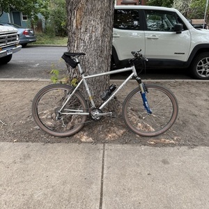 1998 Specialized Rockhopper FS Silver, gray or bare metal