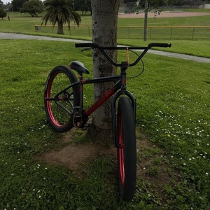 SE Bikes Black and Red