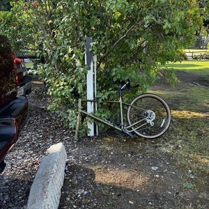 2024 Kona Dew Green