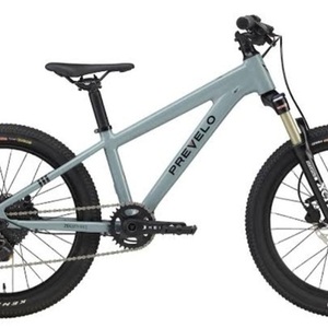 2021 Prevelo Silver, gray or bare metal