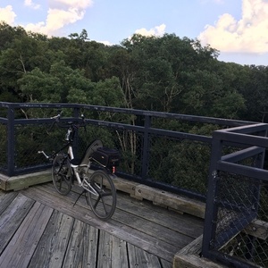 2011 Cruzbike Sofrider Silver or Gray