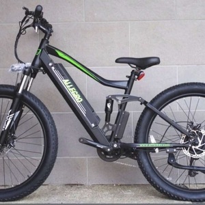 2026 ALLEGRO Green and Black