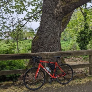 2018 Fuji Sportif 1.9 disc Orange
