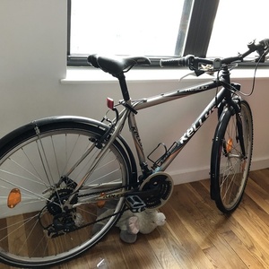Kellys Bicycles Result Silver, gray or bare metal and Black