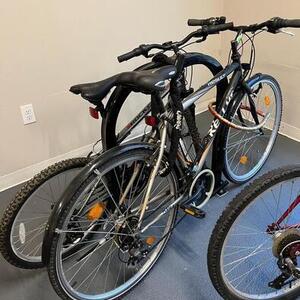Kellys Bicycles Result Silver, gray or bare metal and Black