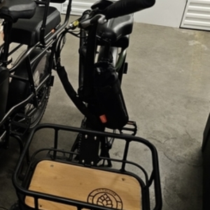 Rad Power Bikes Rad runner 2 Green