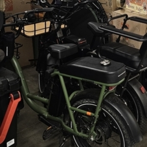 Rad Power Bikes Rad runner 2 Green