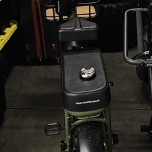 Rad Power Bikes Rad runner 2 Green