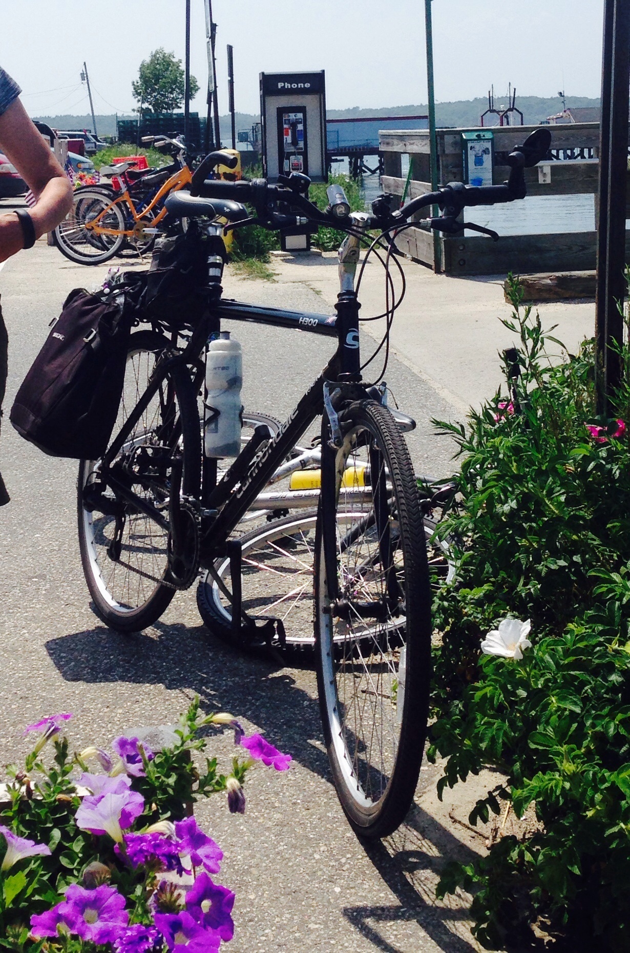 cannondale h200 cad1