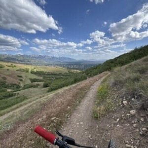 2023 Rocky Mountain Bicycles Element Alloy 10 Black