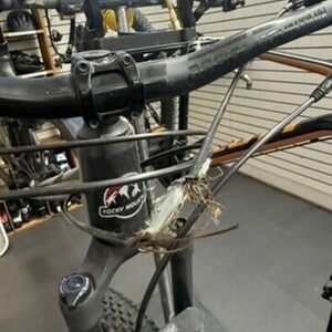 2023 Rocky Mountain Bicycles Element Alloy 10 Black
