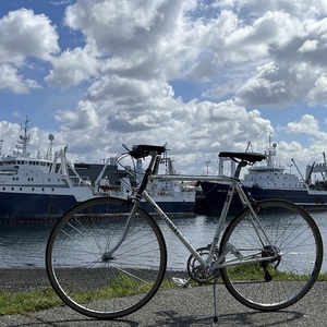 Norco Bikes Fiori Roma White