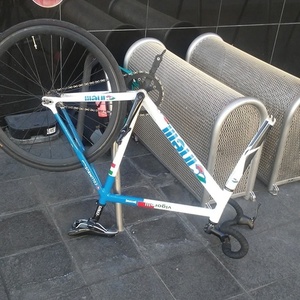 2009 Cinelli Vigorelli White and Blue