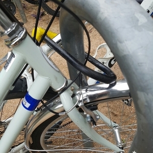 Schwinn Wayfarer 7 Speed Green