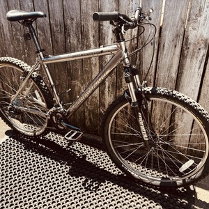 2010 Specialized Rockhopper