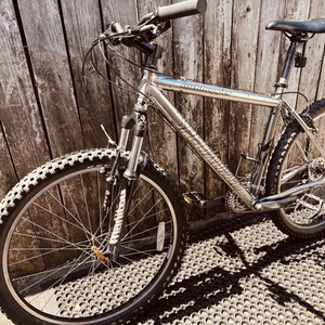 2010 Specialized Rockhopper Silver, gray or bare metal