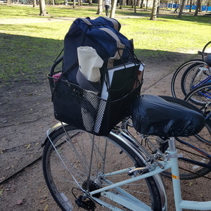 Schwinn Wayfarer 7 Speed Green