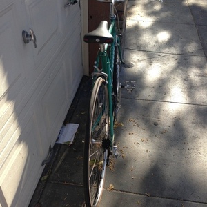 Terry Dispatch  Green