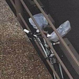 Schwinn Wayfarer 7 Speed Green