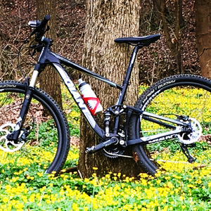 Giant Anthem Black