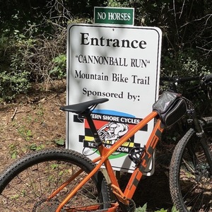 Trek Marlin 6 Orange