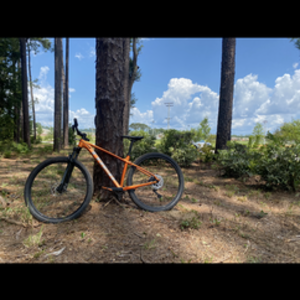 Trek Marlin 6 Orange