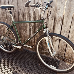 1997 Diamondback Crestview