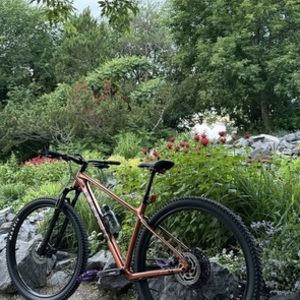 2024 Trek Marlin 7 Orange