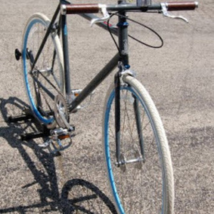 2010 Raleigh  Reynold 520   Silver or Gray