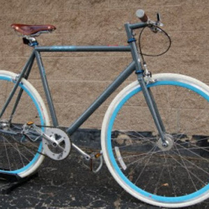 2010 Raleigh  Reynold 520   Silver or Gray