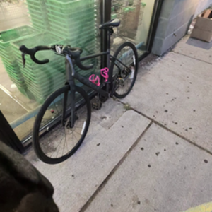 Trek Domane al Black and Silver, gray or bare metal