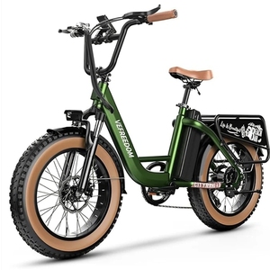 2024 Vefreedom Cityrang 4.0 Green and Brown