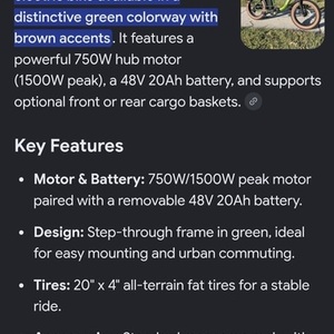 2024 Vefreedom Cityrang 4.0 Green and Brown
