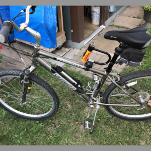 Specialized Expedition Silver, gray or bare metal