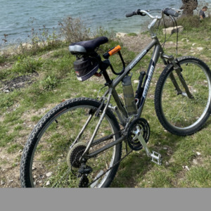Specialized Expedition Silver, gray or bare metal