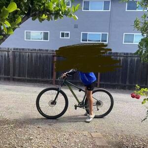 2024 Specialized Specialized Rockhopper Sport Green