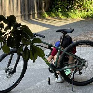 2024 Specialized Specialized Rockhopper Sport Green