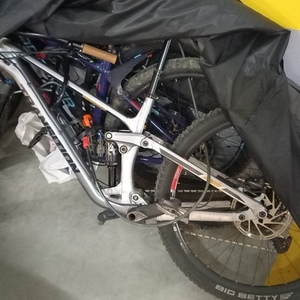 2022 Transition Bikes Sentinel Silver, gray or bare metal