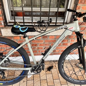 2022 Collective C100 Pro Silver, gray or bare metal