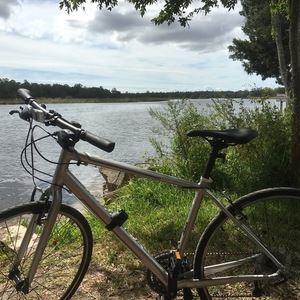 2014 Specialized Vita Sport Silver or Gray