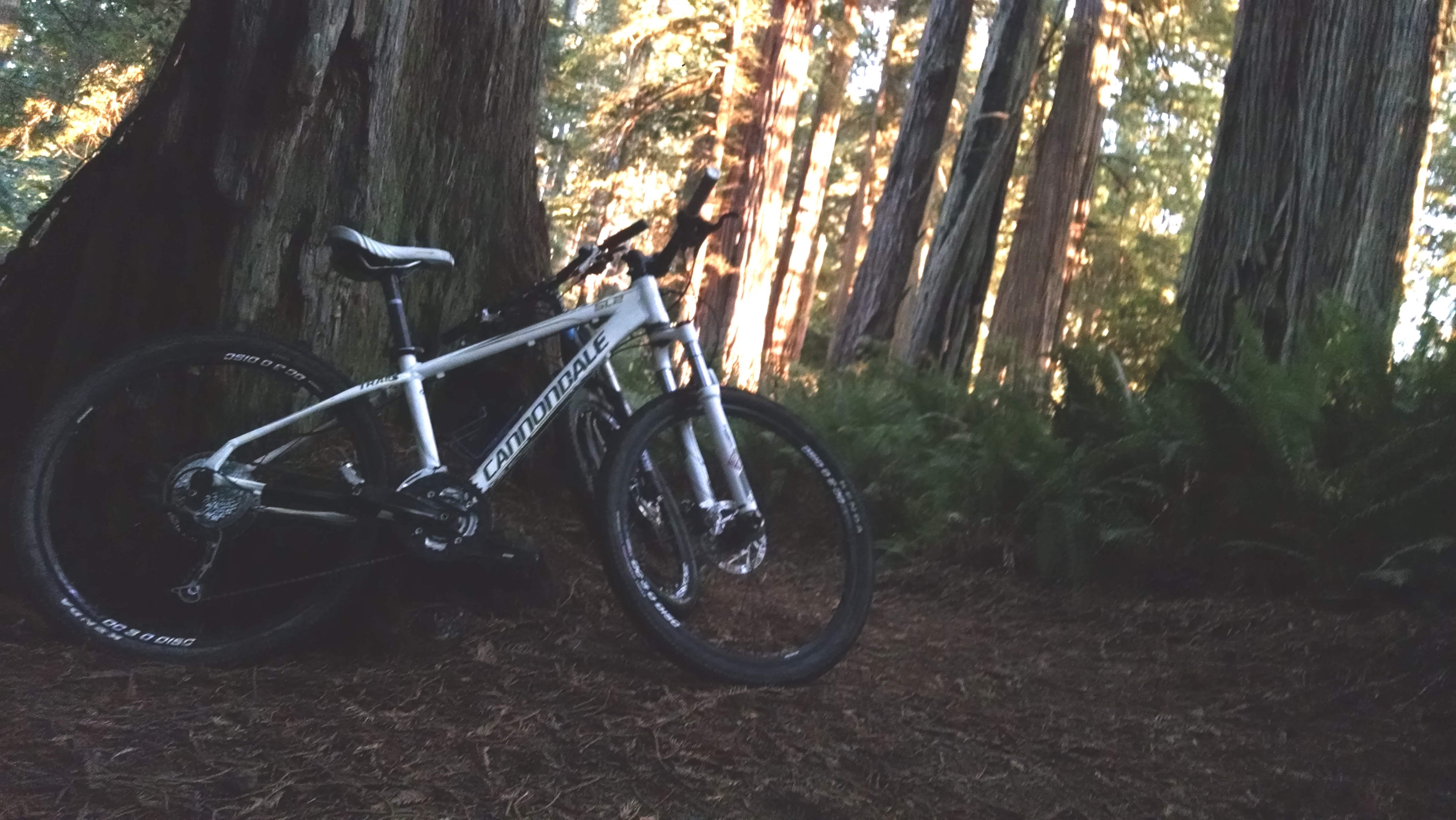 cannondale trail sl 2013