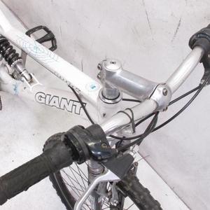 2008 Giant Rock White
