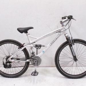 2008 Giant Rock White